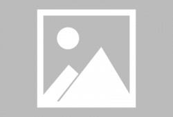 cf手游体验服最新版本爆料,全新内容与优化升级一览